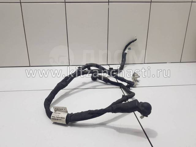 Жгут проводов заземления  Chery Tiggo 4 Pro  806002864AA